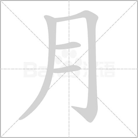 月字部首的字|月字旁的字有哪些